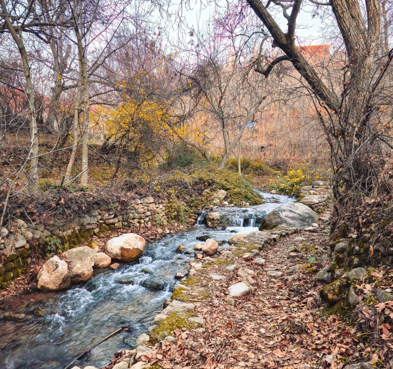 سۆسەکان
