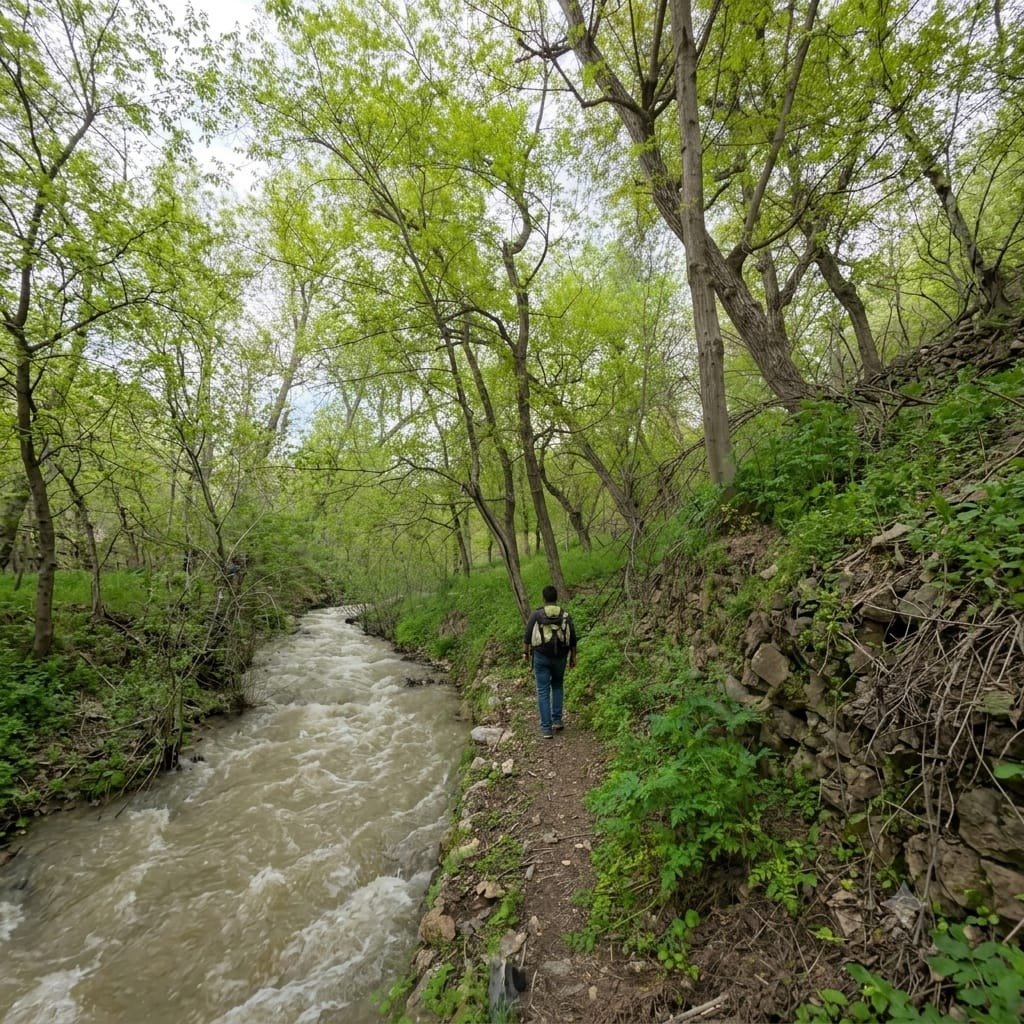 سۆسەکان