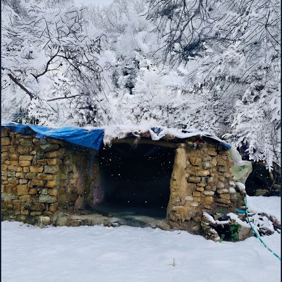 زەردەهاڵ — زستان