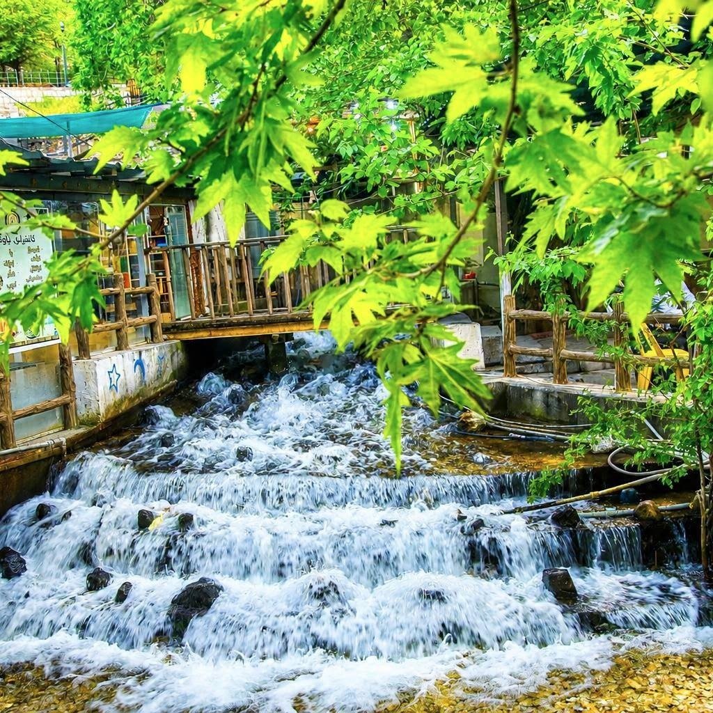 سەیرانگای چاوگ