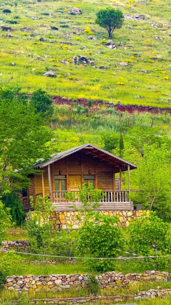 کۆمەڵگەی گەشتیاری ئاوێسەر